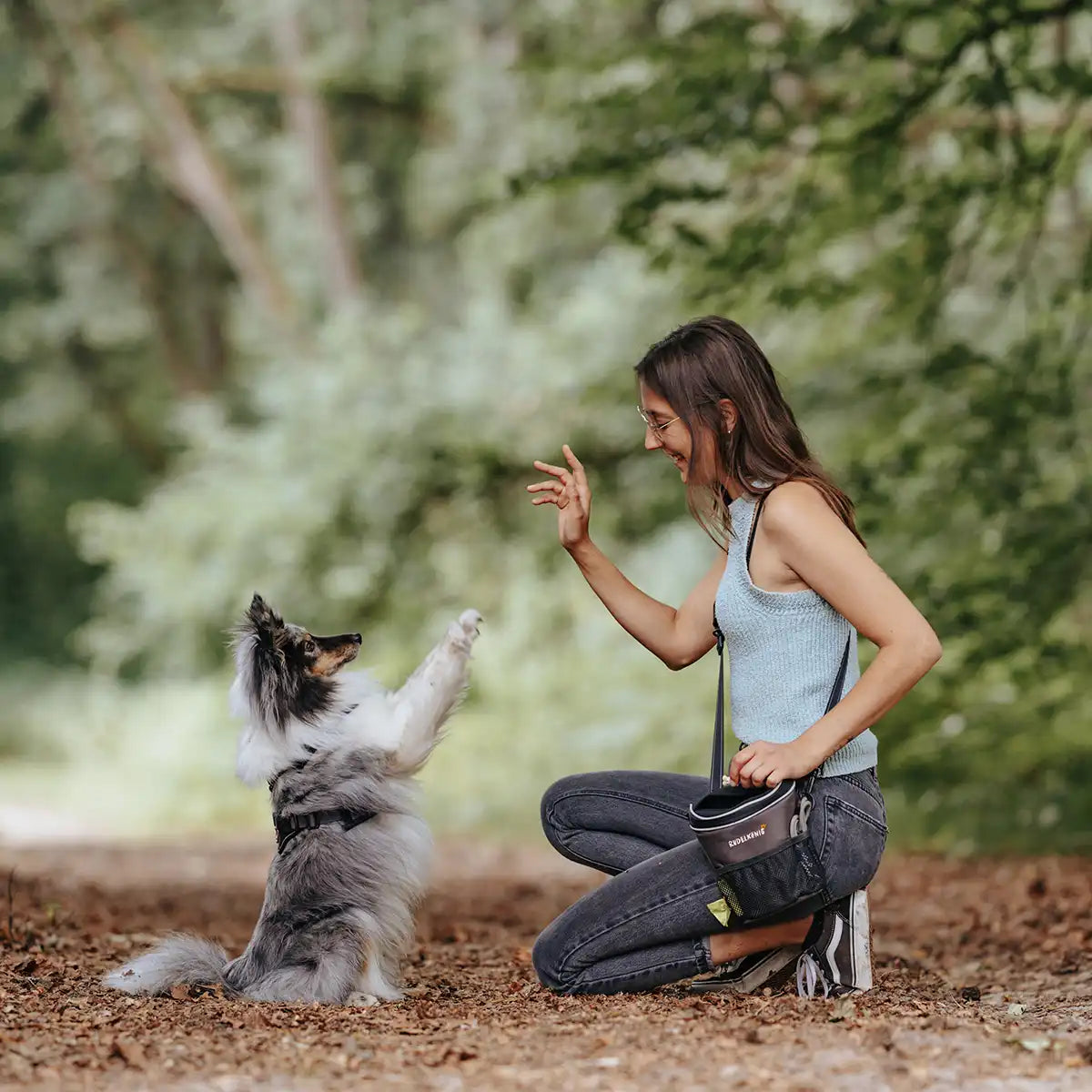 Frauchen lernt ihrem Hund den Befehl Männchen im Wald mit Hilfe der Rudelkönig Gassitasche.