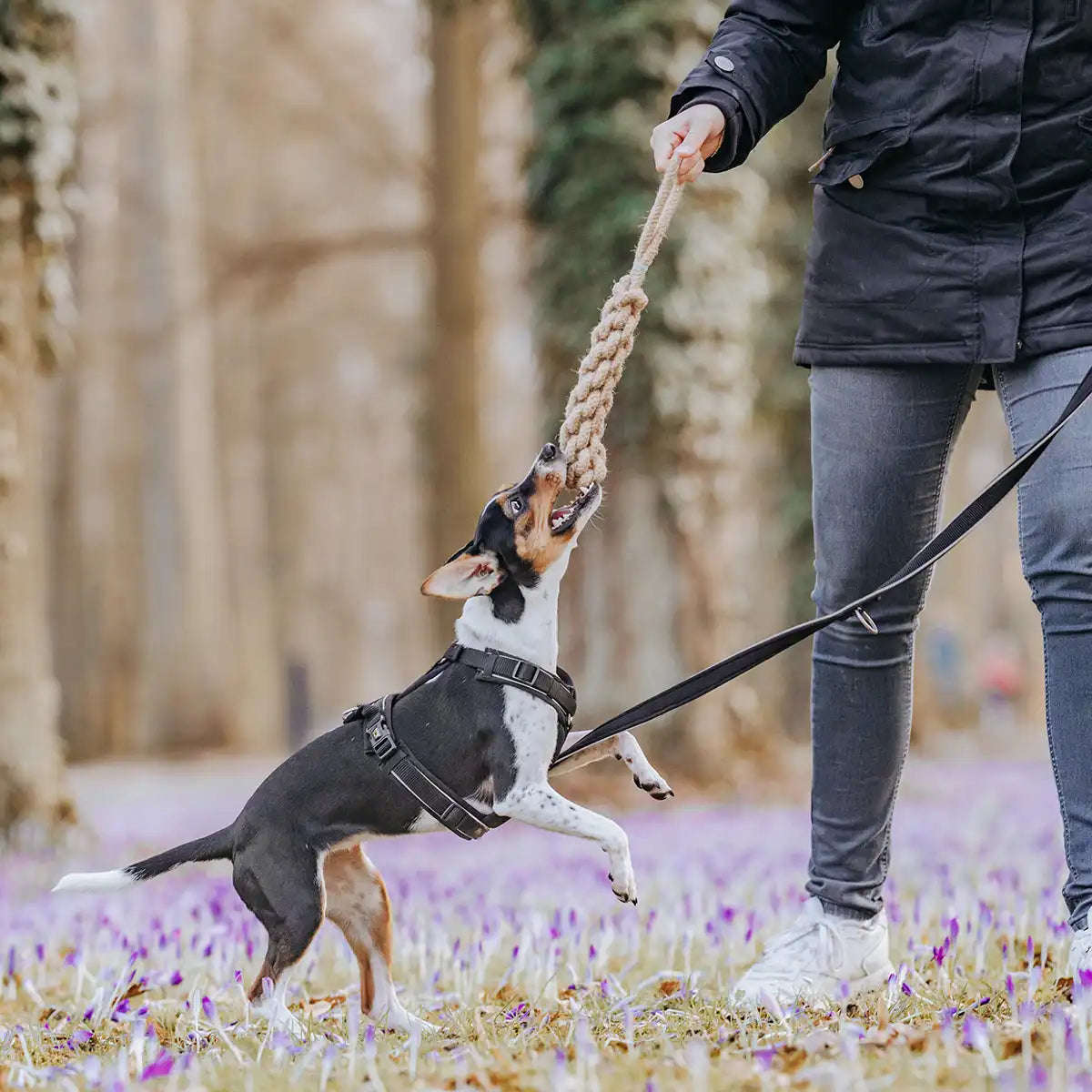 RAW Hundespielzeug Quietschkegel - Langlebig & Ungiftig, Mit Exklusivem Schlüsselanhänger, Schwarz
