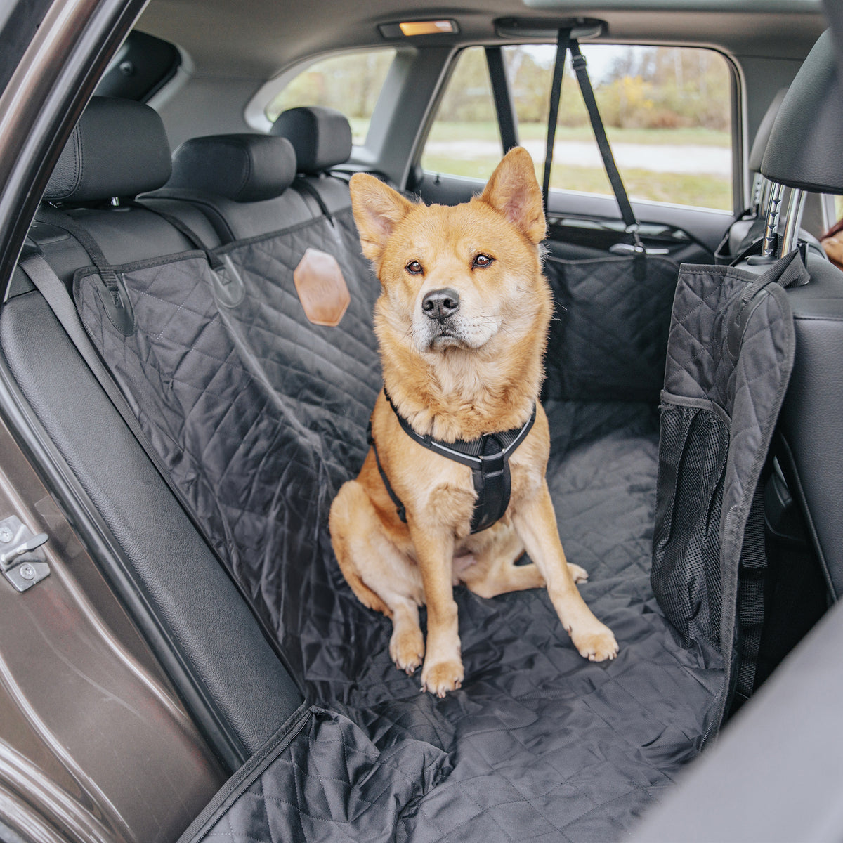 Rudelkönig Hundegurt fürs Auto  Verstellbarer Anschnallgur 