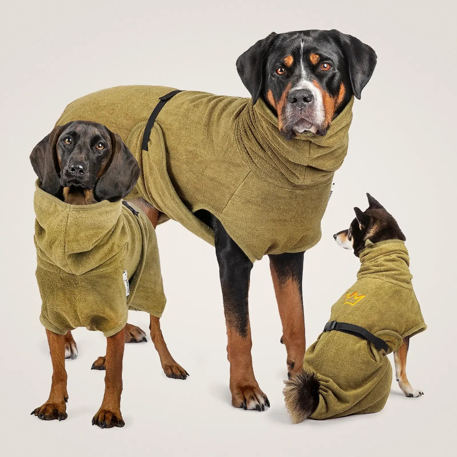 Hundebademantel Baumwolle - saugstark & weich