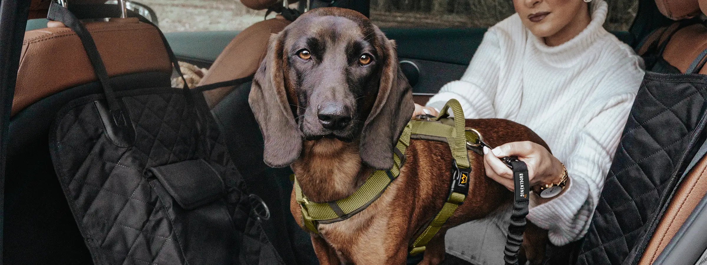 Ein angeschnallter Hund an einem Sicherheitsgurt sitzt mit seinem Frauchen im Auto auf der Rückbank mit dem Rudelkönig Rücksitzschutz.
