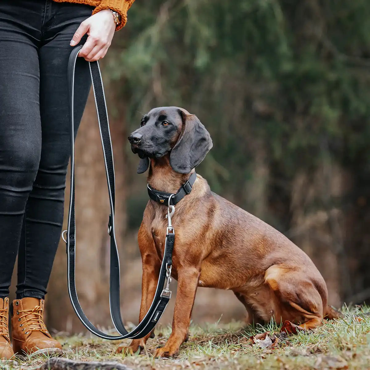 Eine Leine, drei Längen | Mit 2,5 cm Breite und 230 cm Länge hast du volle Kontrolle – kurz für die Stadt, lang für den Freiraum. und Umhängen wenn's ganz locker sein soll. Eine Leine für alle Fälle, weil du es flexibel brauchst.