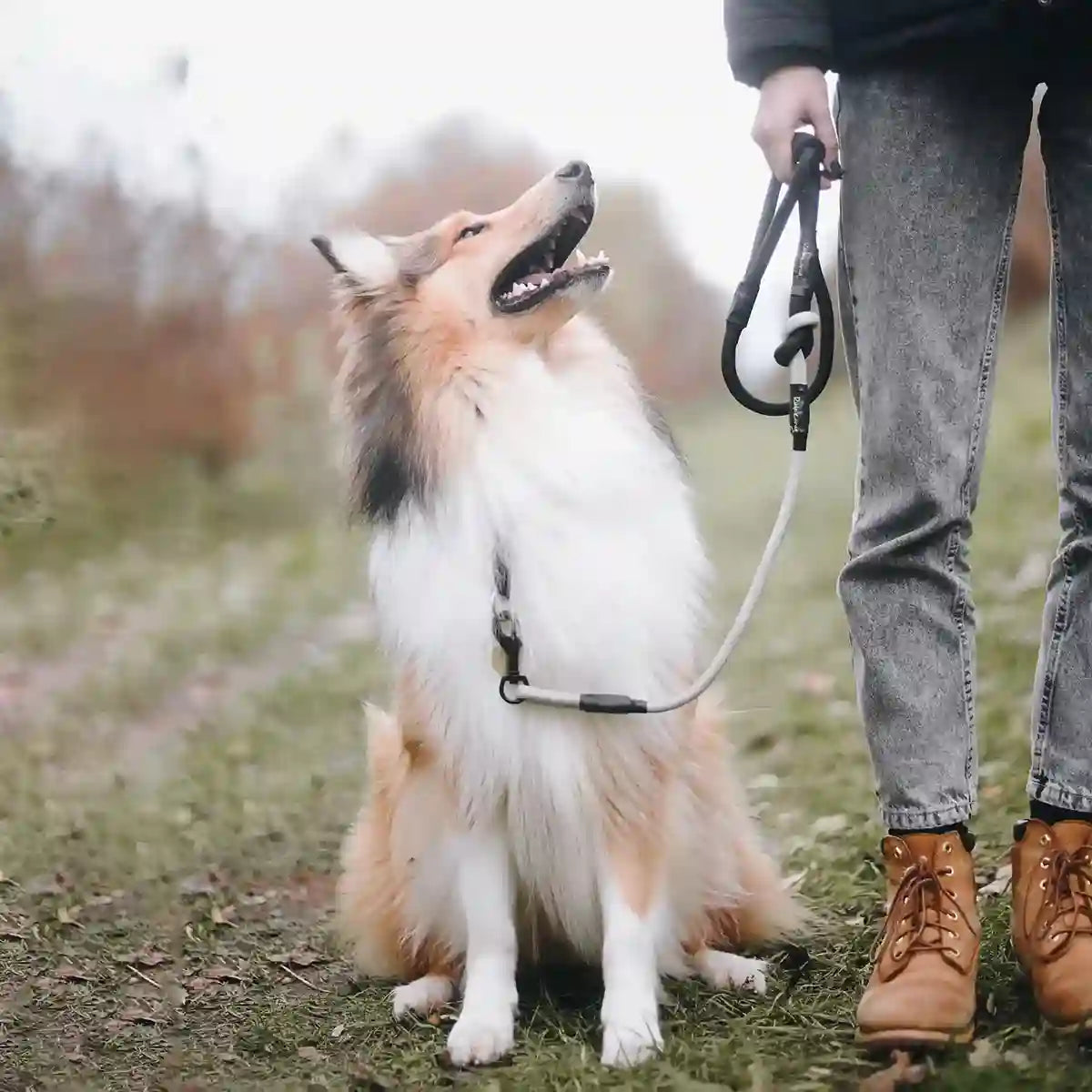 Easy führen | Die Leine lässt sich easy führen und ist am unteren grauen Teil mit durchsichtigem PVC ummantelt um die Leine zu schützen.