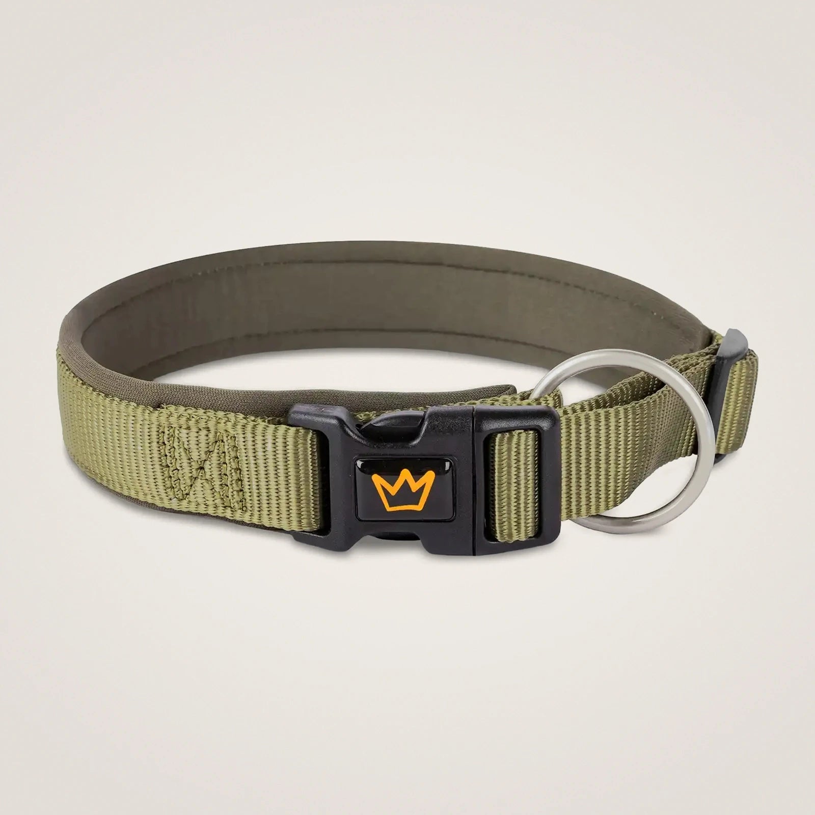 Hundehalsband Bella – Robust, stilvoll & weich gepolstert – Rudelkönig