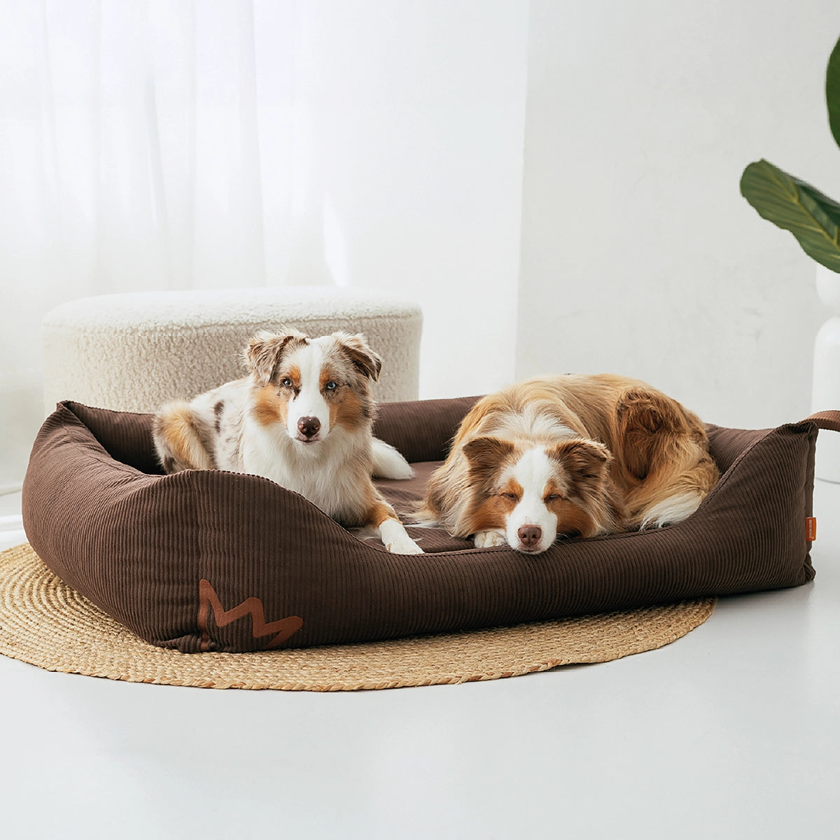 10 Jahre Garantie Versprechen | Viele Hundebetten verlieren nach kurzer Zeit ihre Form. Nicht unsere. Der hochwertige Memory-Schaum bleibt dauerhaft formstabil, bietet konstant Entlastung und begleitet deinen Hund jahrelang - und weil wir das sicher behaupten können gibt es 10 Jahre Garantie auf die Matratze.