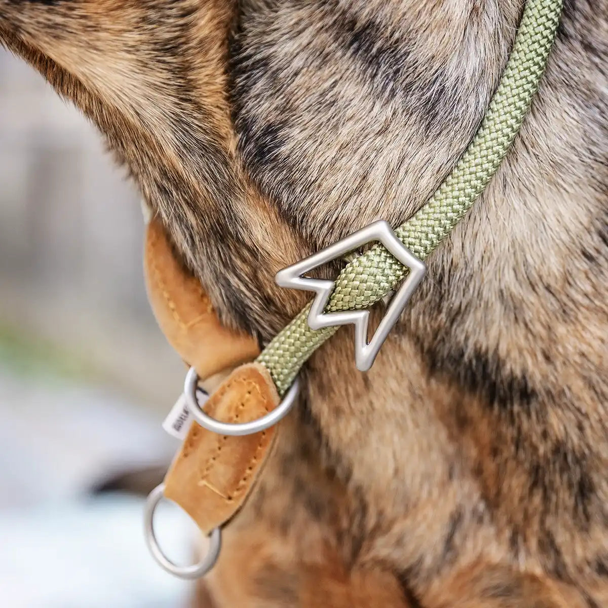Weich auf der Haut, fest im Halt | Dein Hund spürt das Halsband kaum, du aber die Qualität. Weiches Material verhindert Reibung, während der stabile Verschluss alles sichert.