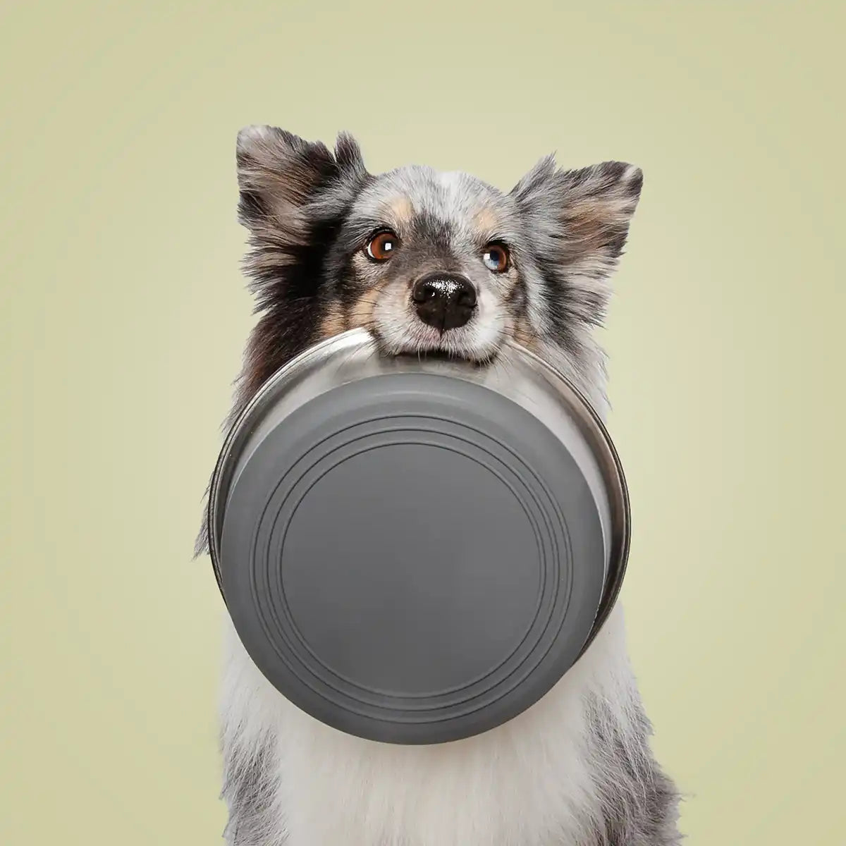 Rostfrei & unkaputtbar | Ein Napf fürs Leben. Hergestellt aus hochwertigem, rostfreiem Edelstahl – extrem widerstandsfähig, langlebig und bestens geeignet für den täglichen Einsatz.