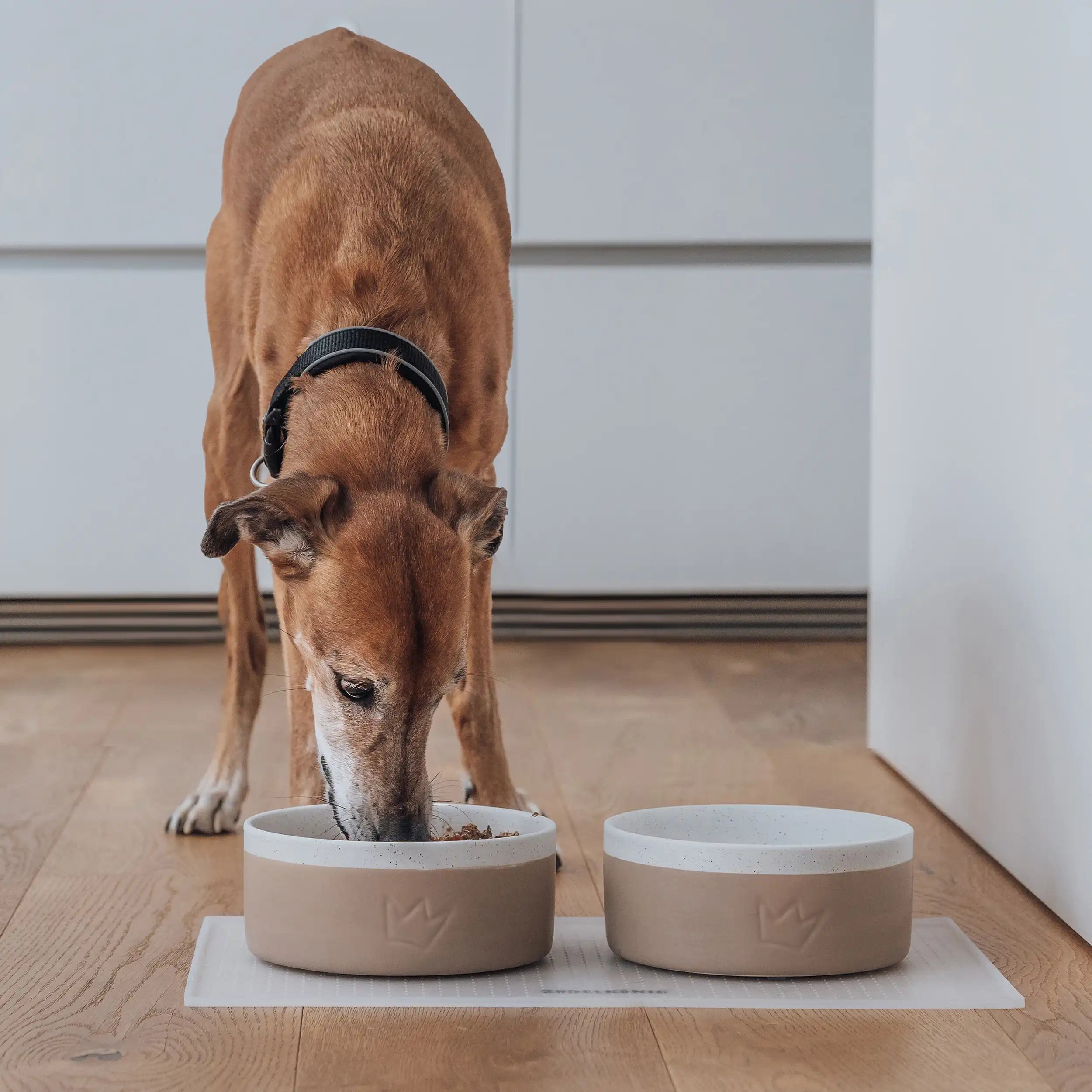 Sicher fressen ohne Schadstoffe | 100 % lebensmittelechte Keramik, frei von BPA und Schadstoffen. Sicher für deinen Hund, geschmacksneutral und langlebig – für gesundes Fressen ohne Kompromisse.