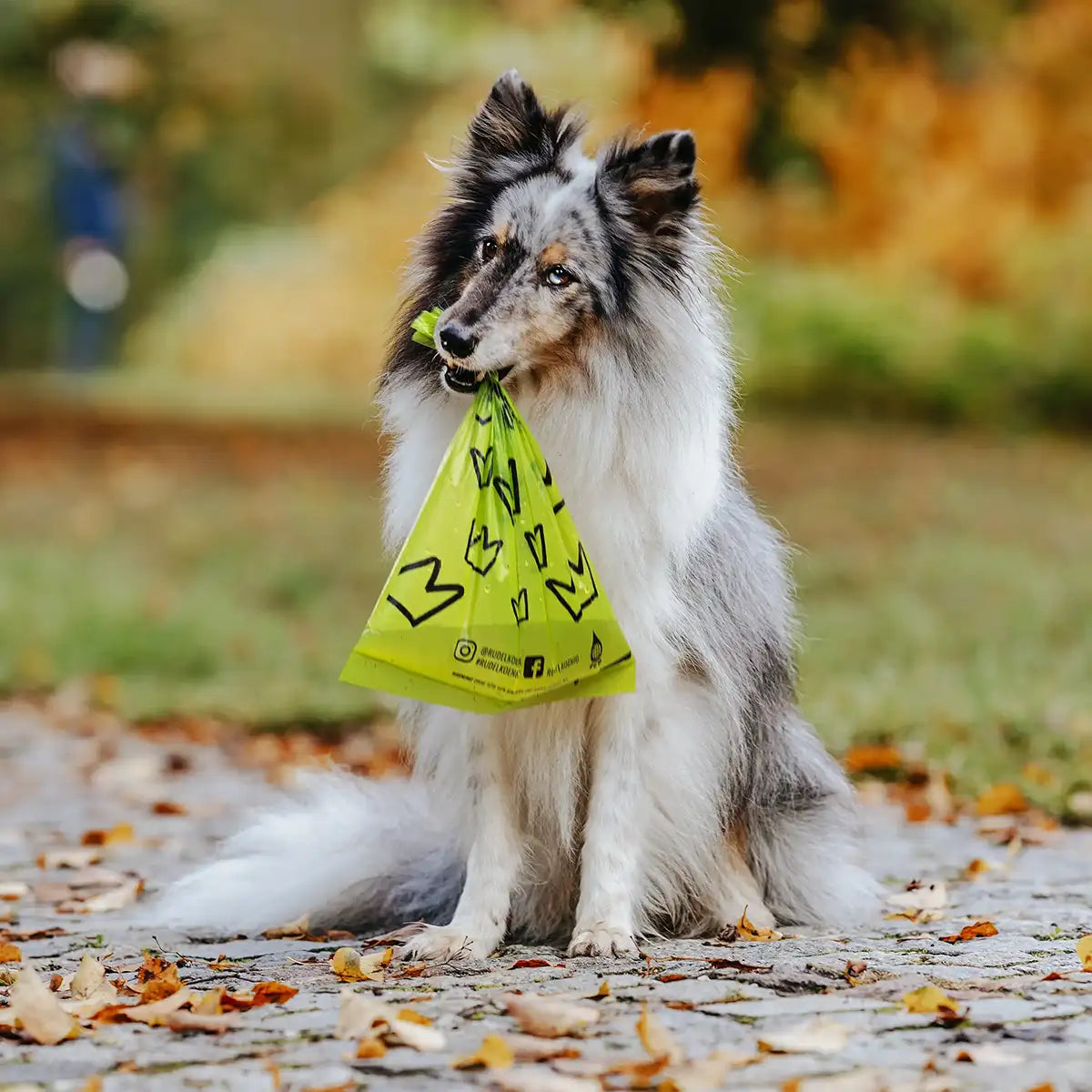 Geruchsdicht & auslaufsicher | Kein Auslaufen, kein Gestank! Die extra dichte Folie schließt unangenehme Gerüche sicher ein – für eine hygienische Entsorgung unterwegs.