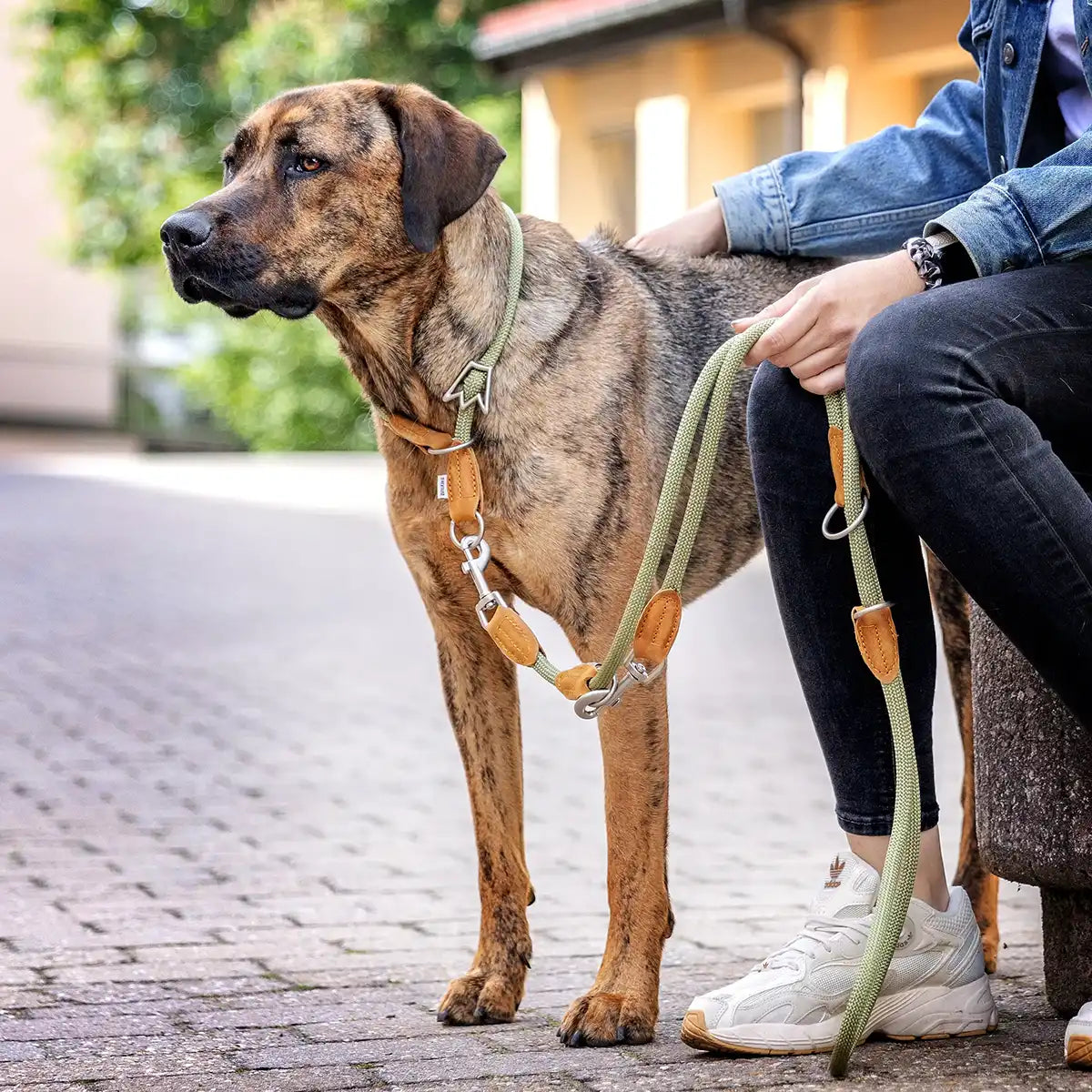 Liegt geschmeidig in der Hand | Kein Einschneiden, kein Verbrennen! Das runde Paracord-Design passt sich perfekt an deine Hand an und bleibt auch nach langen Spaziergängen bequem - weich, rund und flexibel eben.