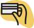 Rudelkönig PDP Icon für sichere Zahlung
