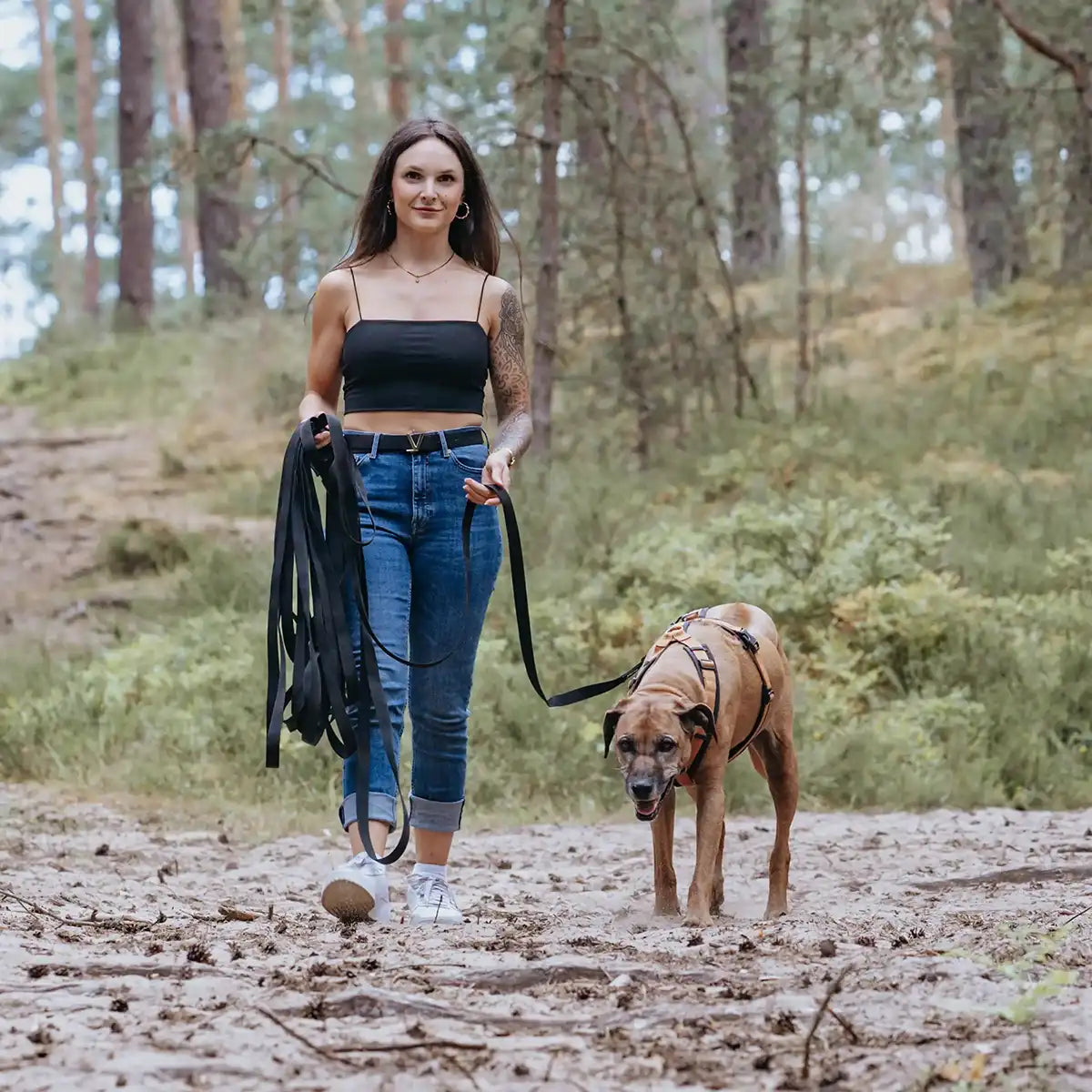 Perfekt fürs Training | Trainieren, toben, erkunden – ohne Risiko. Diese Schleppleine hält Hunde bis 50 kg sicher und gibt dir die Kontrolle, die du brauchst.