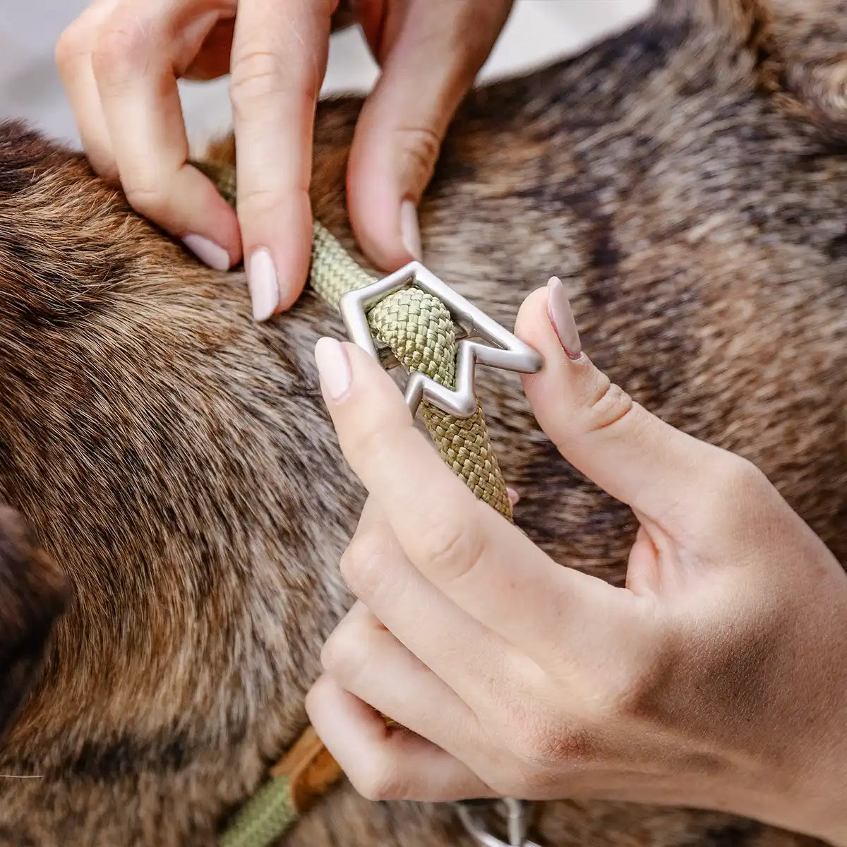 Einmal kaufen, lange nutzen | Dein Hund wächst – das Halsband wächst mit. Dank flexibler Verstellbarkeit passt es sich perfekt an, egal ob Welpe oder erwachsener Vierbeiner.