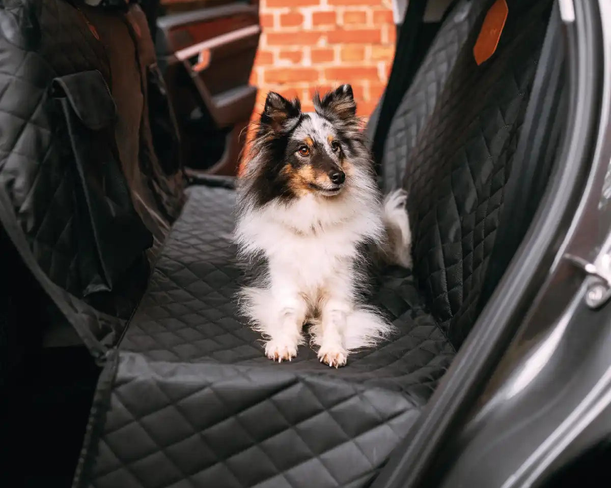 Hund liegt auf dem Rudelkönig Rücksitzschutz sicher und bequem.
