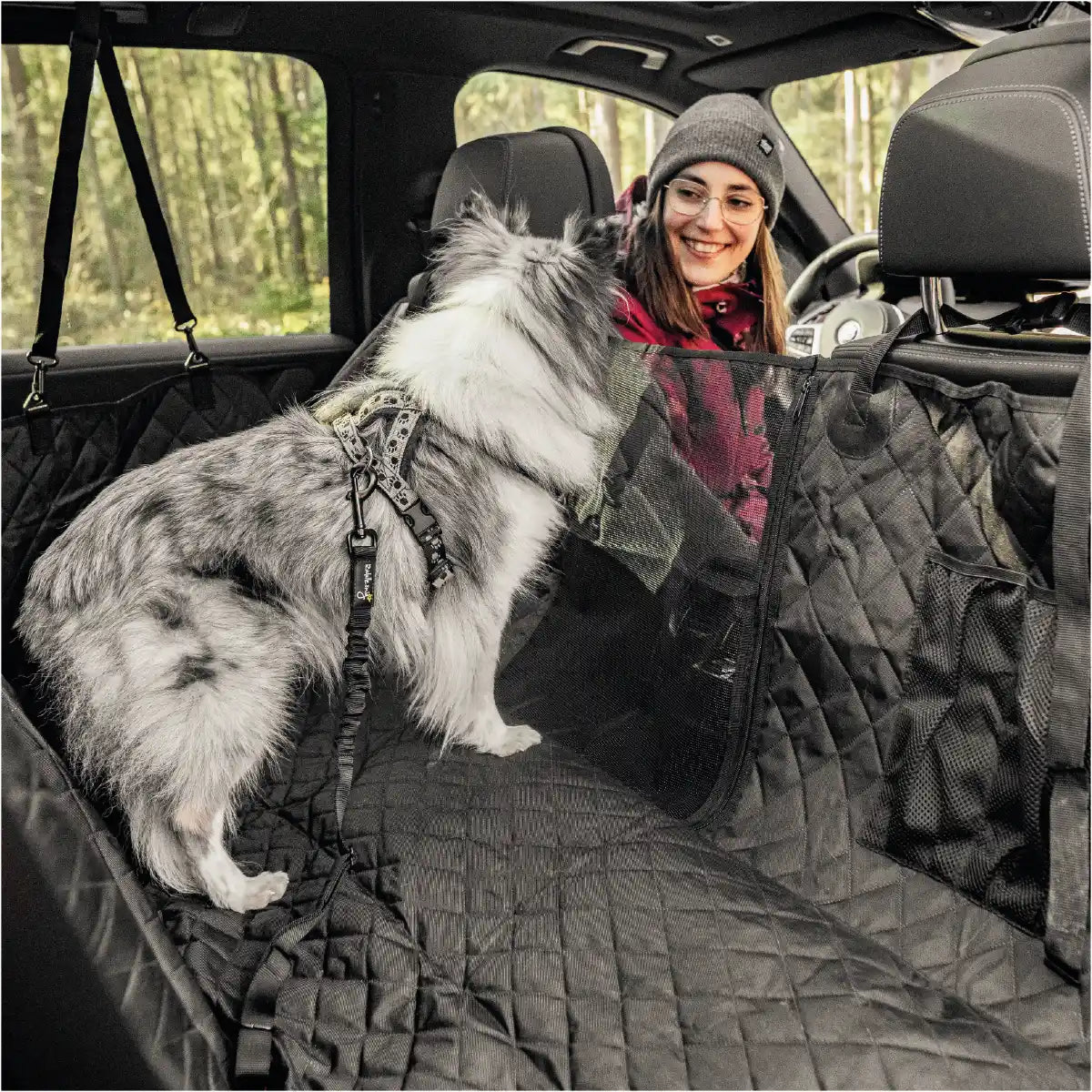 Hund sitzt auf dem Rudelkönig Rücksitzschutz angeschnallt mit dem Rudelkönig Sicherheitsgurt und schaut nach vorne aus dem Auto raus.