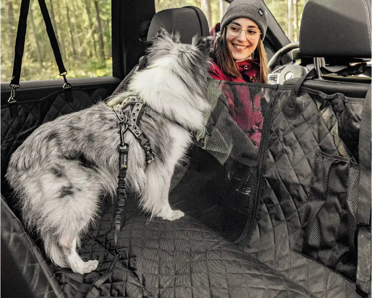 Hund sitzt auf dem Rudelkönig Rücksitzschutz angeschnallt mit dem Rudelkönig Sicherheitsgurt und schaut nach vorne aus dem Auto raus.