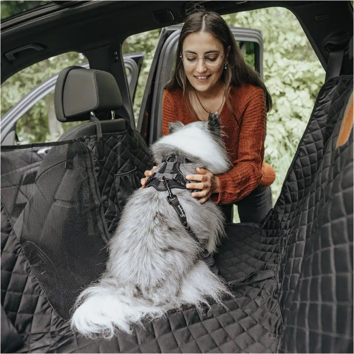 Hund wird mit dem Rudelkönig Sicherheitsgurt sicher im Auto für eine Fahrt von seinem Frauchen am Geschirr angeschnallt.