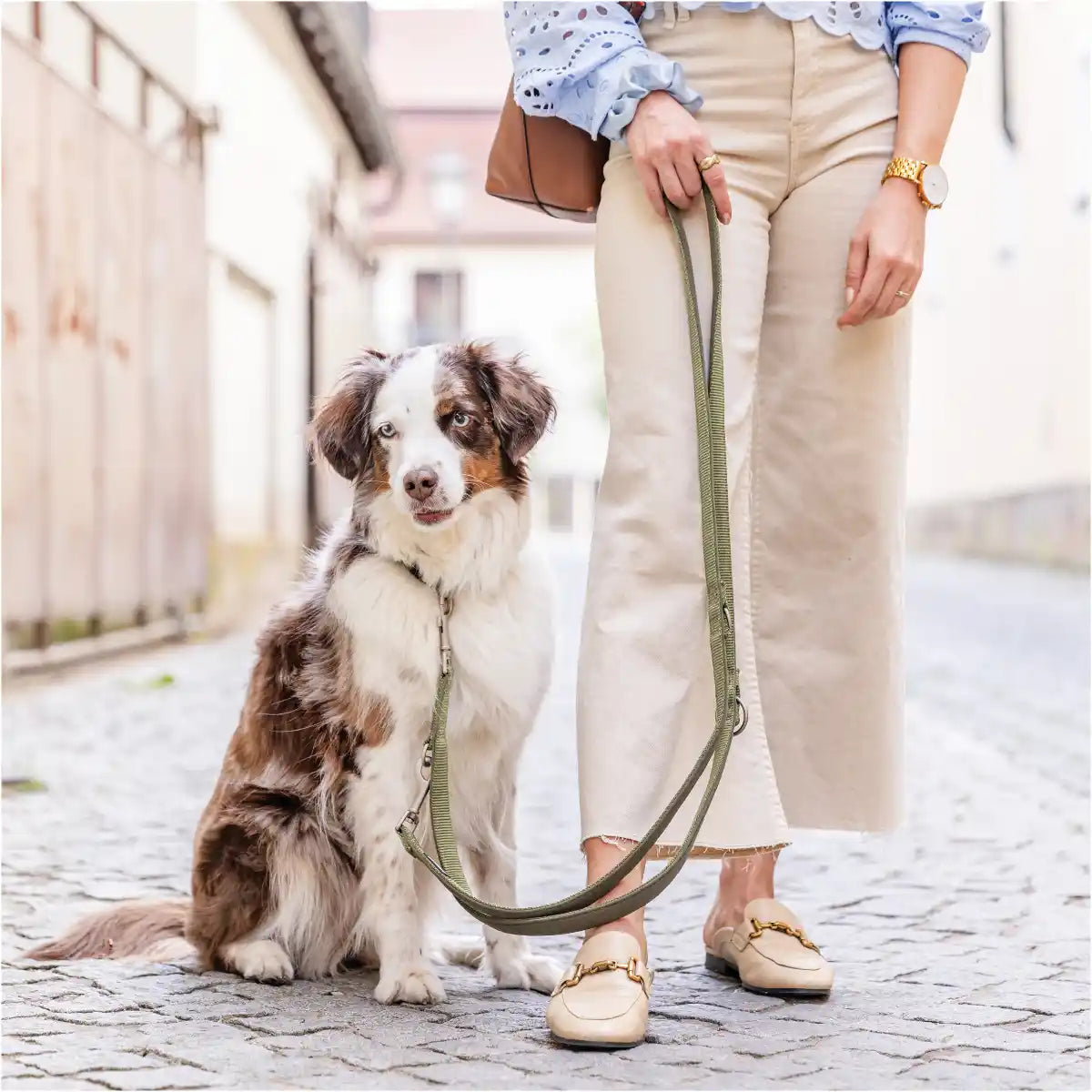 Frauchen steht mit ihrem Hund und der Rudelkönig Kurzführerleine Bella in der Stadt.