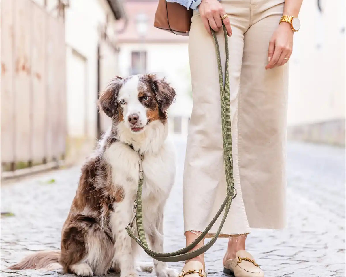 Frauchen steht mit ihrem Hund und der Rudelkönig Kurzführerleine Bella in der Stadt.