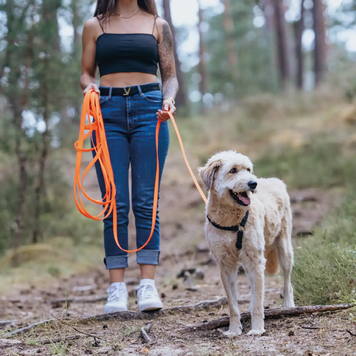 Frauchen geht mit ihrem Hund und der Rudelkönig Schleppleine in orange im Wald spazieren.