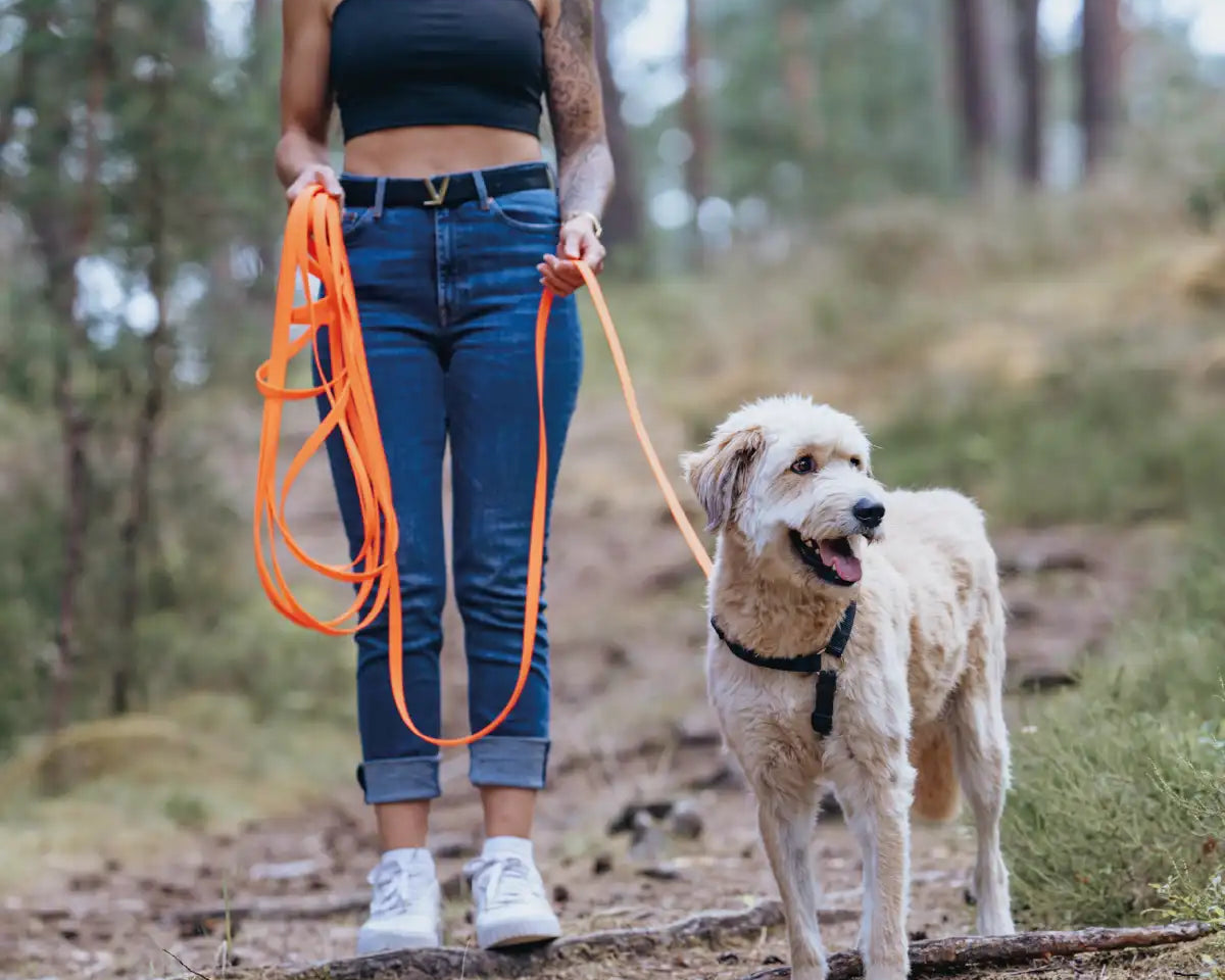 Frauchen geht mit ihrem Hund und der Rudelkönig Schleppleine in orange im Wald spazieren.
