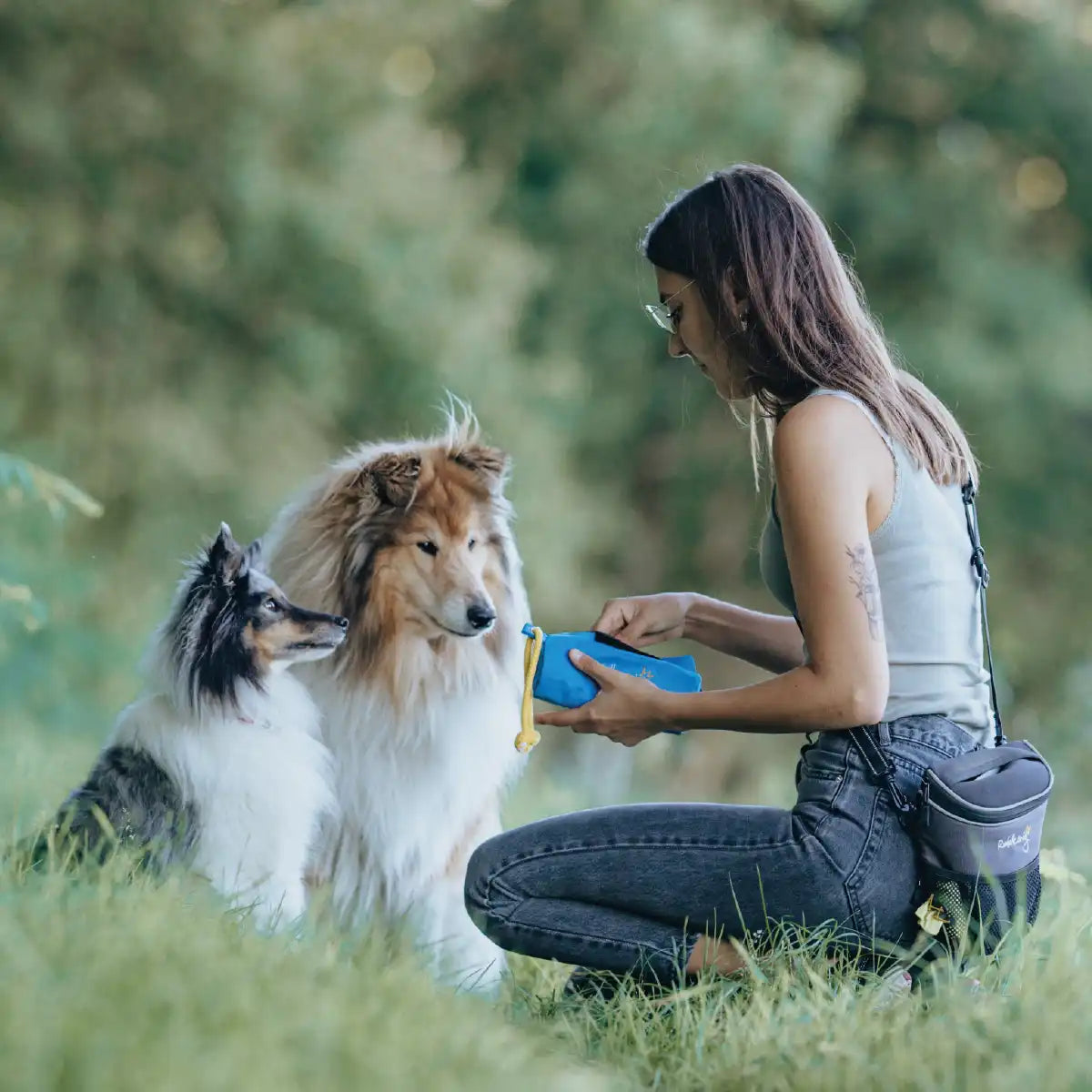 Frauchen trainiert mit dem Rudelkönig Futterdummy und Ihren Hunden das Apportieren und gibt Ihnen ein Leckerli aus dem Apportierbeutel.