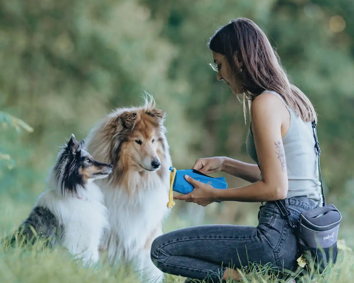 Frauchen trainiert mit dem Rudelkönig Futterdummy und Ihren Hunden das Apportieren und gibt Ihnen ein Leckerli aus dem Apportierbeutel.