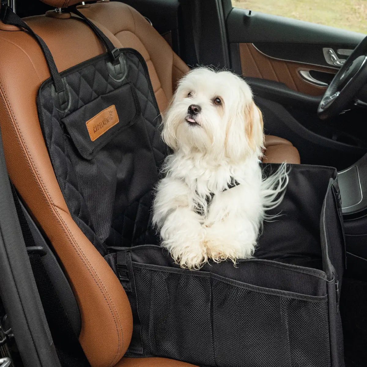 Hund sitzt entspannt im Rudelkönig Autositz auf dem Beifahrersitz und schaut aus dem Fenster.
