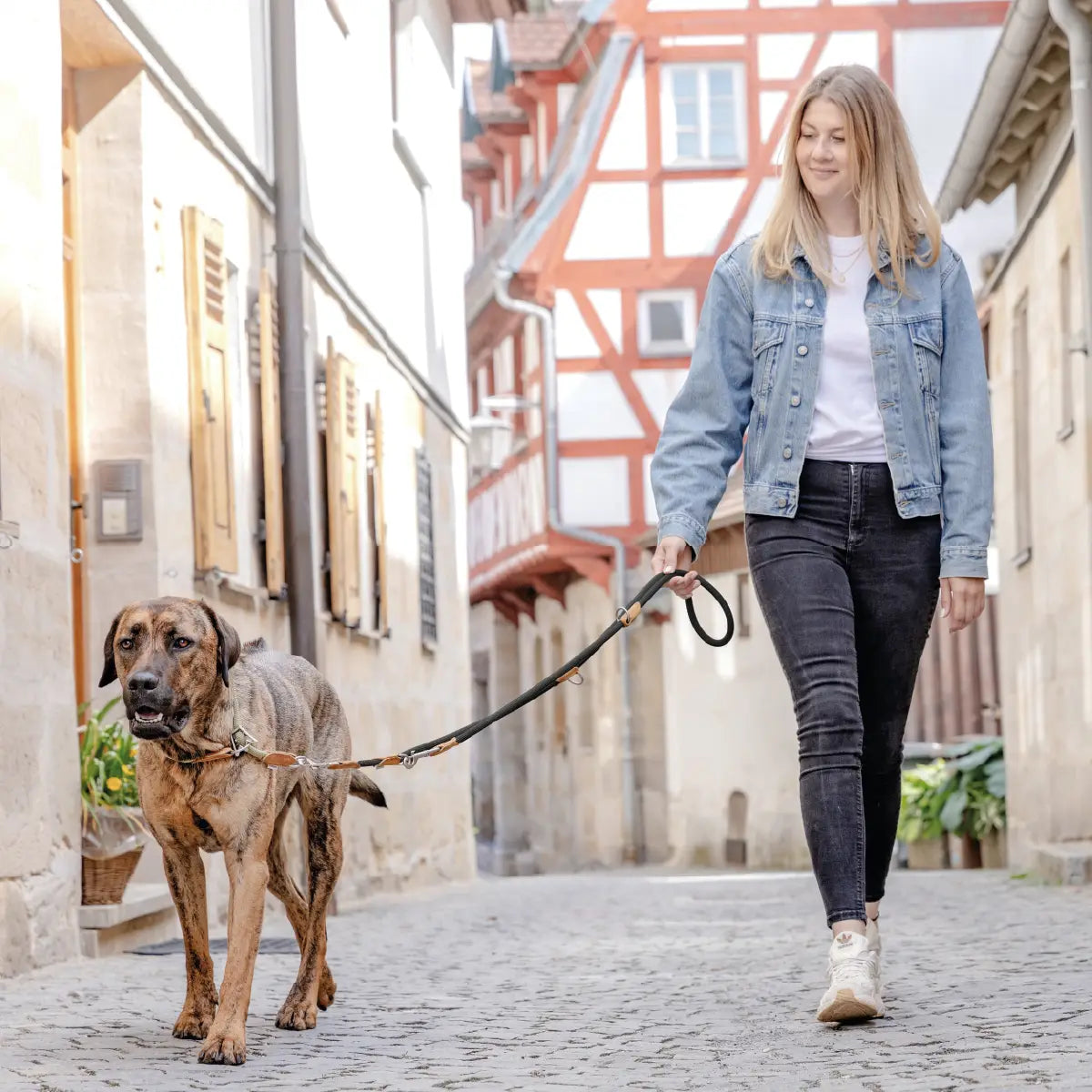 Frauchen geht mit ihrem Hund und der Rudelkönig Hundeleine Emma in schwarz in der Stadt spazieren.