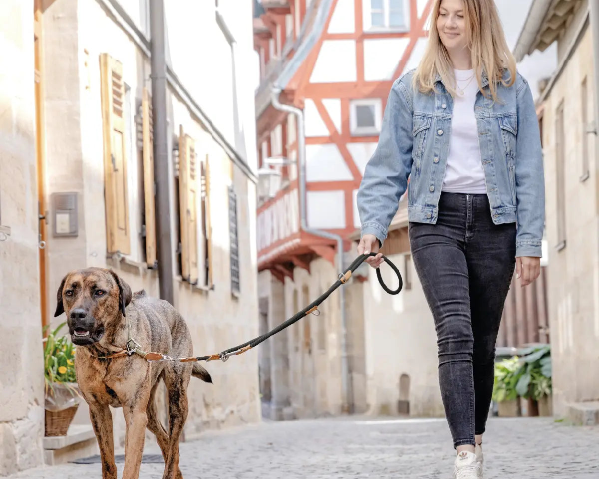 Frauchen geht mit ihrem Hund und der Rudelkönig Hundeleine Emma in schwarz in der Stadt spazieren.