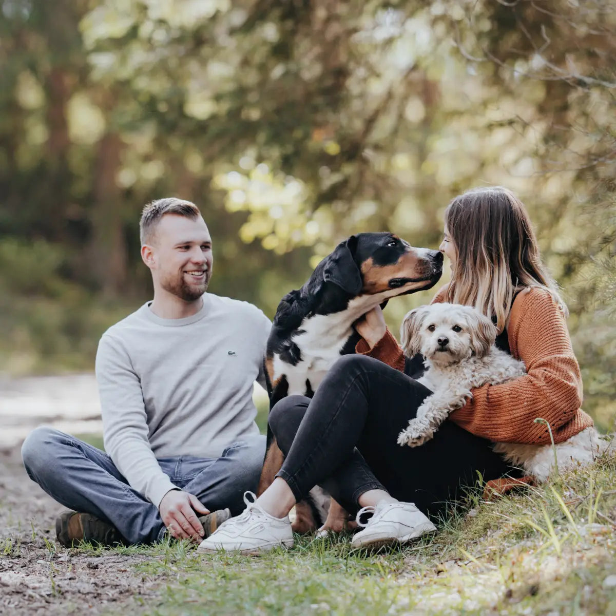Frauchen und Herrchen sitzen mit ihren beiden Hunden im Wald und spielen mit ihren Hunden.