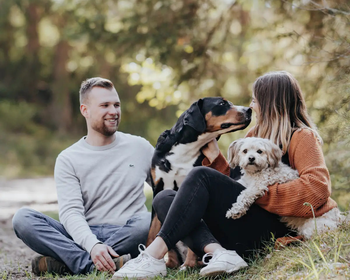 Frauchen und Herrchen sitzen mit ihren beiden Hunden im Wald und spielen mit ihren Hunden.