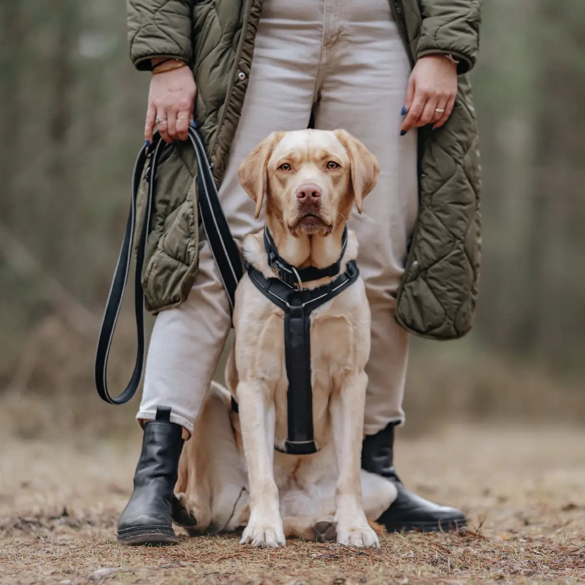 Frauchen steht mit ihrem Hund im Wald und hält ihn an der Rudelkönig Paola Hundeleine in schwarz am Antizuggeschirr Paola von Rudelkönig.