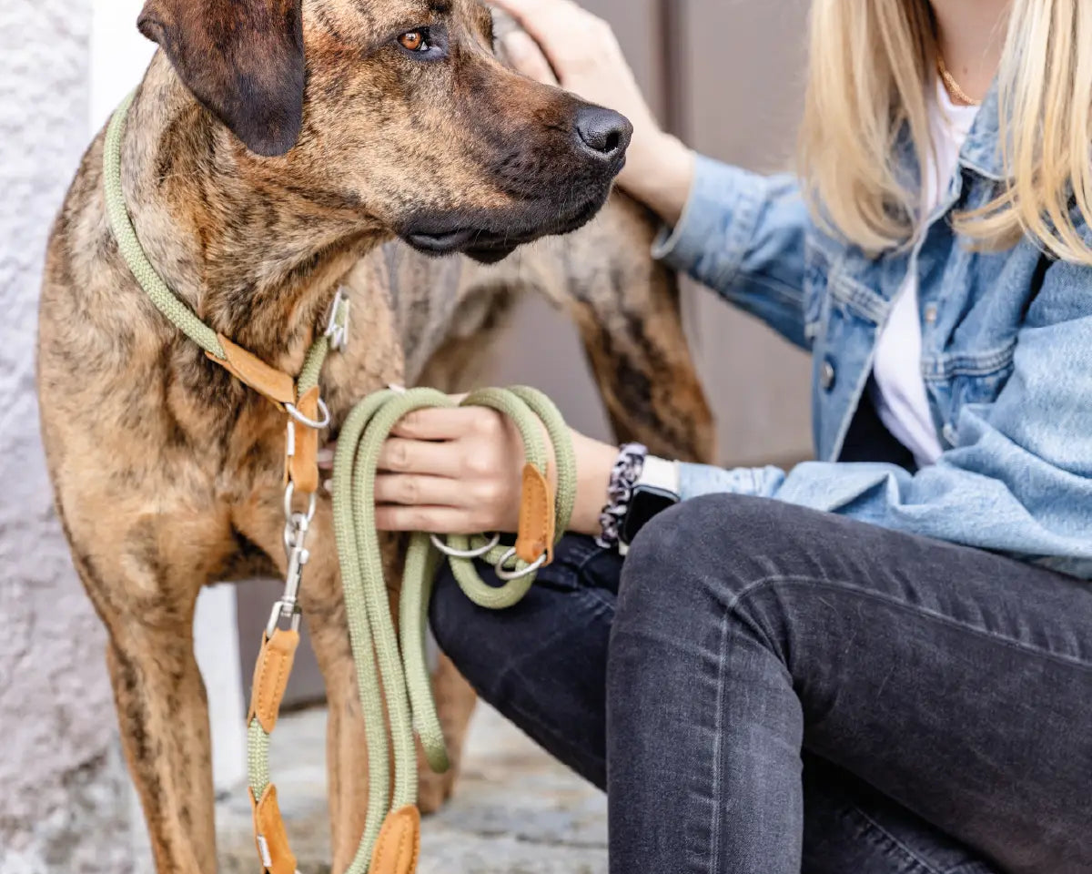 Frauchen steht mit ihrem Hund und dem Rudelkönig Gassi Set Emma in khaki in der Stadt