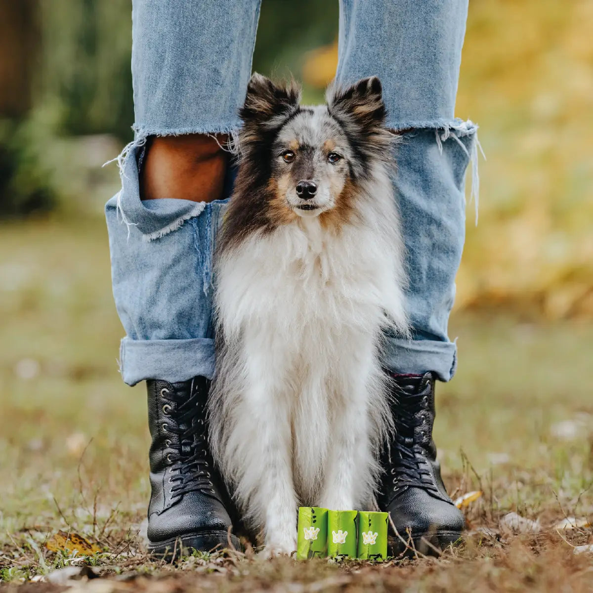 Hund sitzt zwischen den Beinen seiner Halterin mit biologisch abbaubaren Kotbeutelrollen von Rudelkönig vor sich - stilvoll und vorbereitet unterwegs.