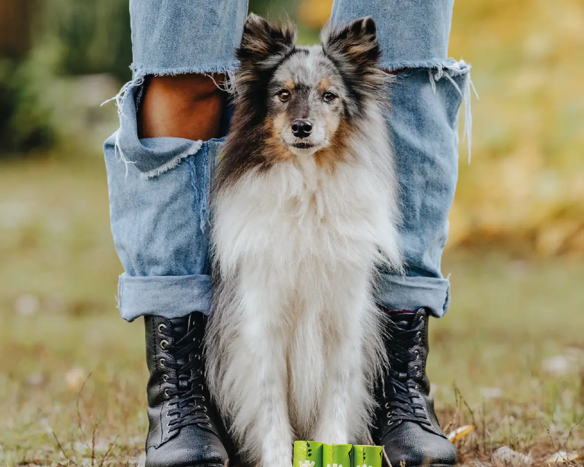 Hund sitzt zwischen den Beinen seiner Halterin mit biologisch abbaubaren Kotbeutelrollen von Rudelkönig vor sich - stilvoll und vorbereitet unterwegs.