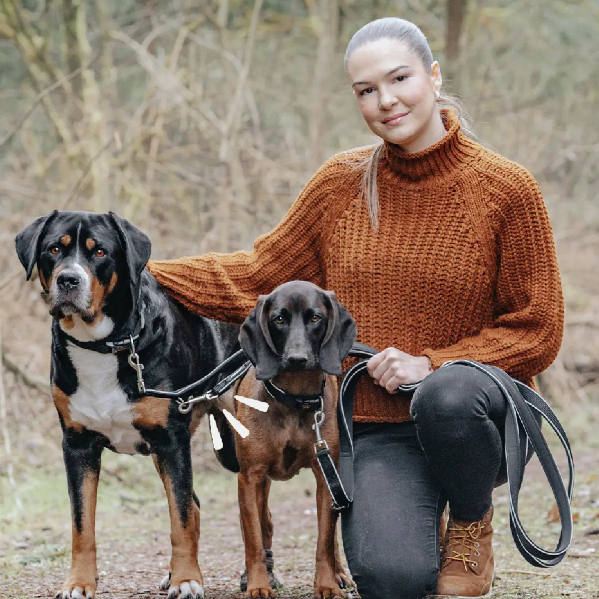 Zwei Hunde mit breiten Rudelkönig Paola Halsbändern und Führleinen, gemeinsam mit ihrer Halterin im Wald – robustes Hundezubehör für große Rassen.