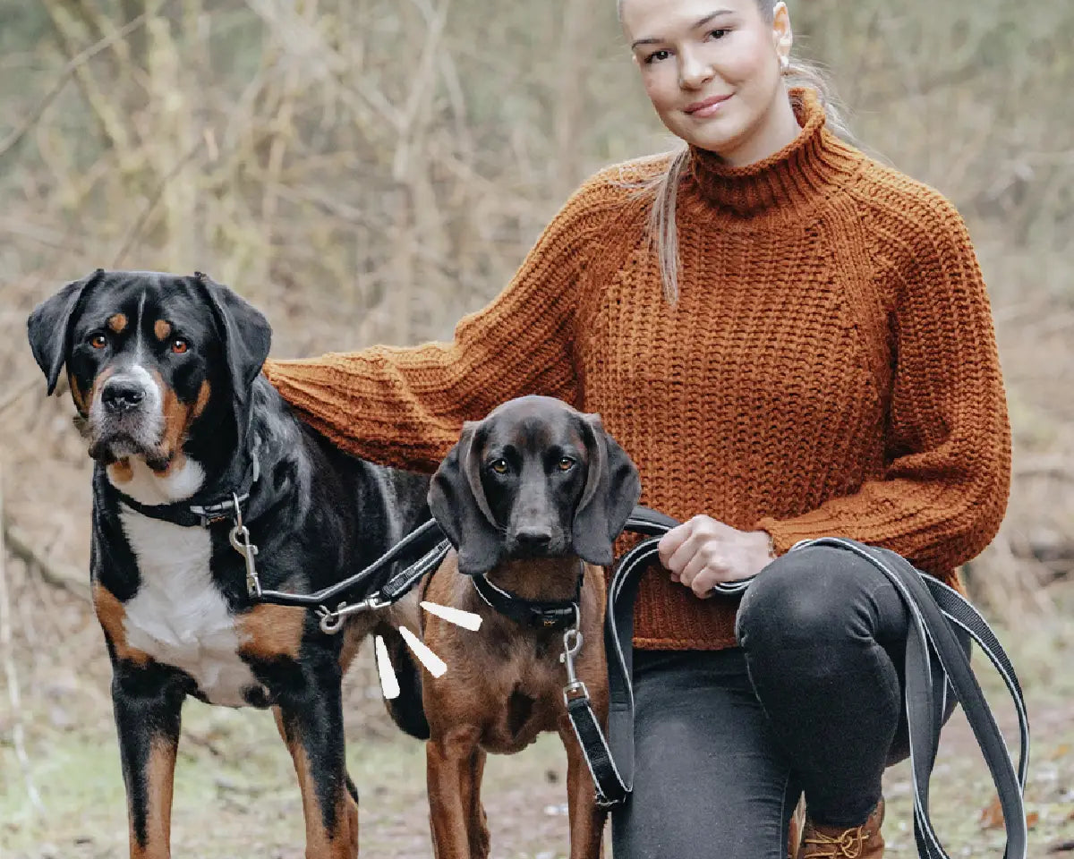Zwei Hunde mit breiten Rudelkönig Paola Halsbändern und Führleinen, gemeinsam mit ihrer Halterin im Wald – robustes Hundezubehör für große Rassen.