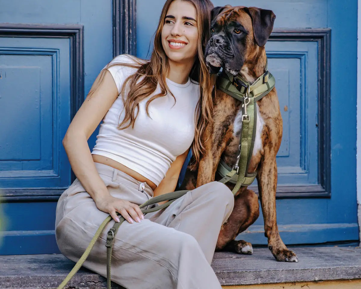 Boxer sitzt mit seiner Halterin entspannt auf einer Stufe, das grüne Hundehalsband von Rudelkönig gut sichtbar – funktional & modern.