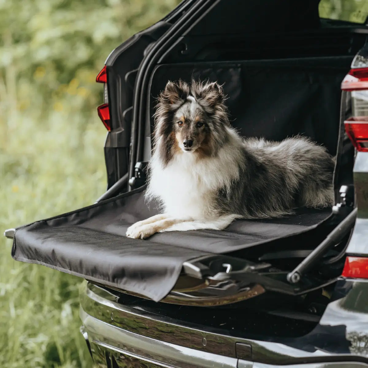 Hund liegt entspannt auf der geöffneten Kofferraumklappe mit Schutzmatte von Rudelkönig – ideal für sichere Autofahrten mit Hund.