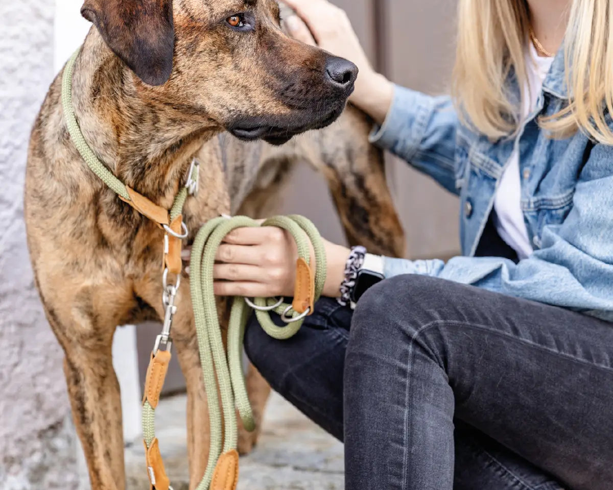 Brauner Hund mit robuster Führleine Emma von Rudelkönig und Halsband Emma von Rudelkönig sitzt neben seiner Halterin – hochwertiges Hundezubehör für den Alltag.