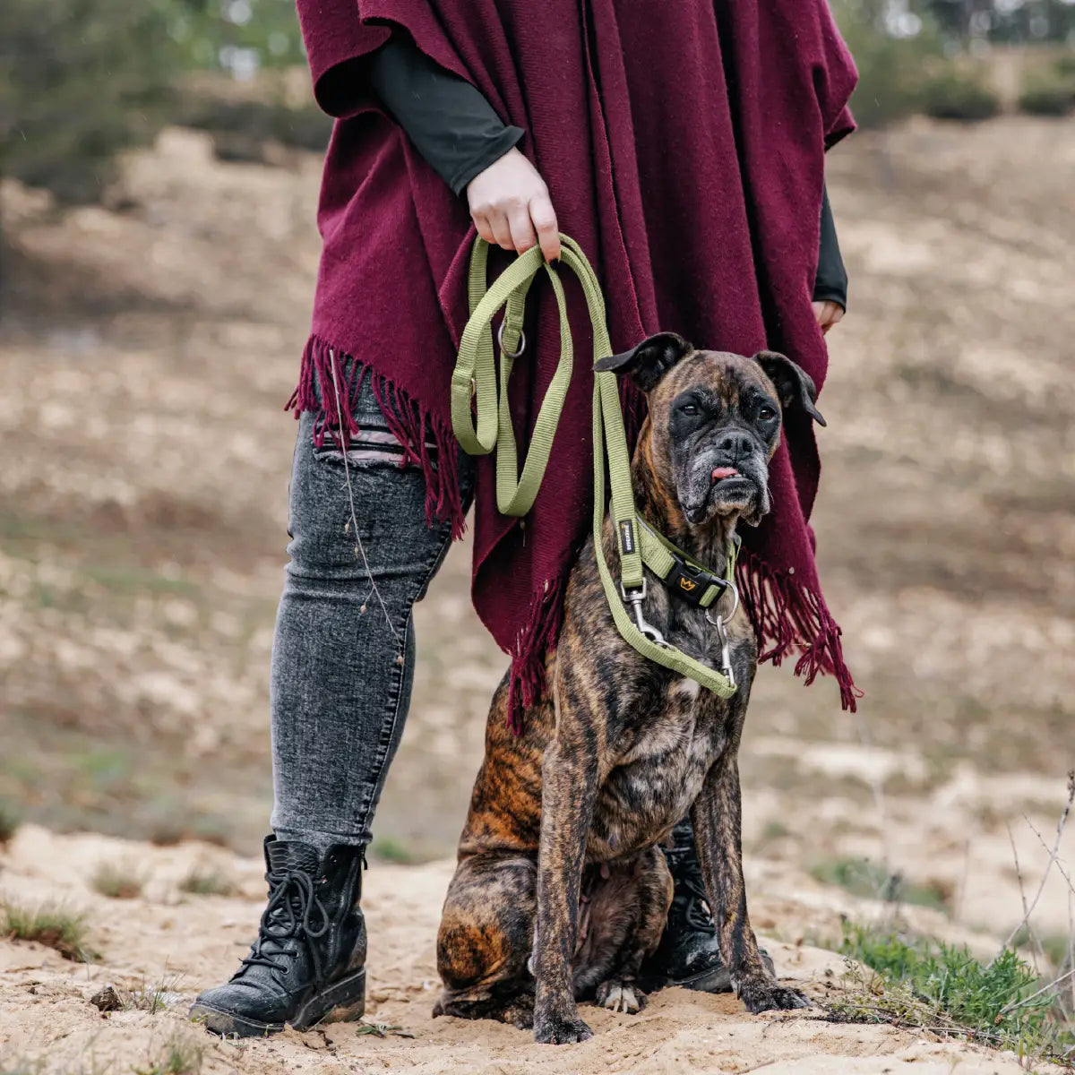 Gestromter Boxer sitzt im Sand vor seiner Halterin, getragenes Halsband Bella von Rudelkönig und grüne Hundeleine Frida von Rudelkönig gut sichtbar.
