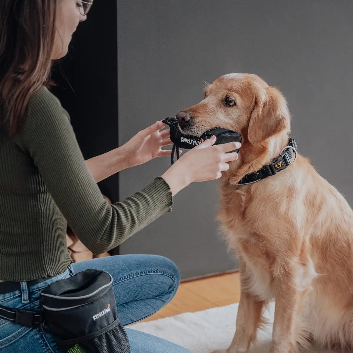 Frau nimmt Futterdummy aus dem Maul des Hundes – effektives Apportiertraining für Hunde.