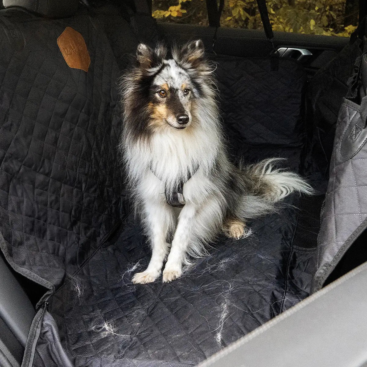 Hund sitzt auf Rücksitzschutz im Auto während der Fellwechselzeit – Schutz vor Hundehaaren und Schmutz auf den Autositzen.