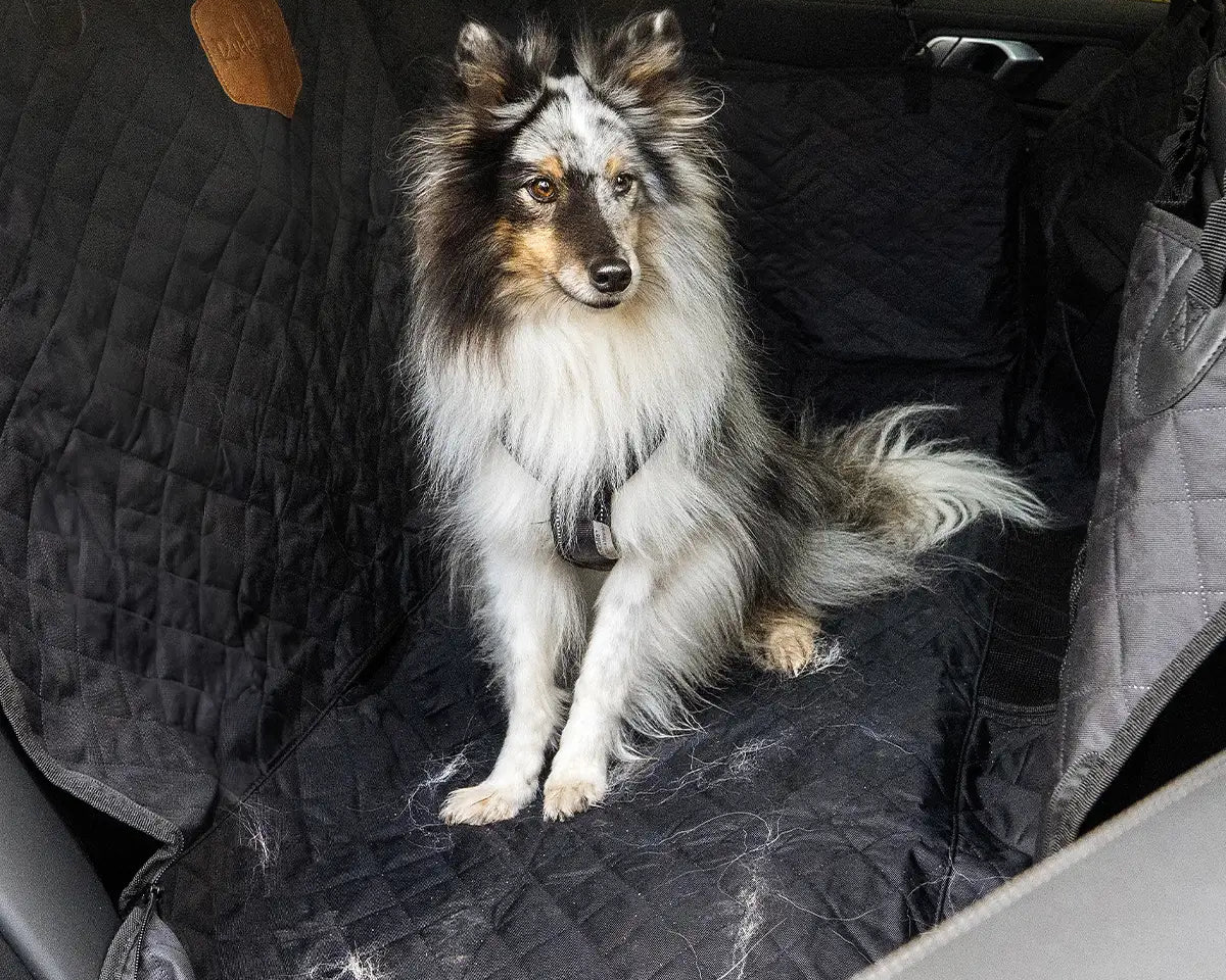 Hund sitzt auf Rücksitzschutz im Auto während der Fellwechselzeit – Schutz vor Hundehaaren und Schmutz auf den Autositzen.