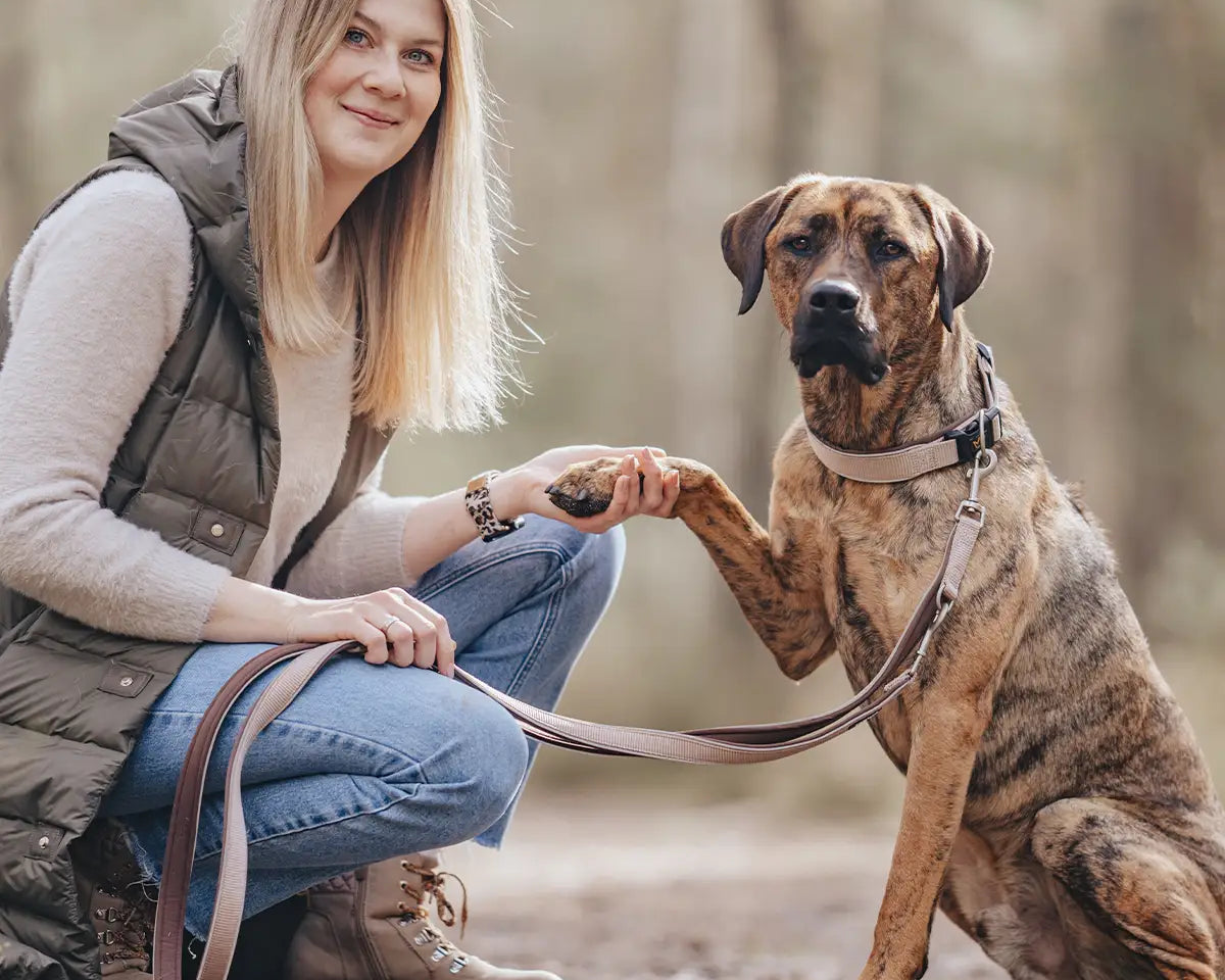 Hund gibt seiner Besitzerin die Pfote, während er an der Leine in der Natur sitzt – harmonisches Training und Bindung stärken.
