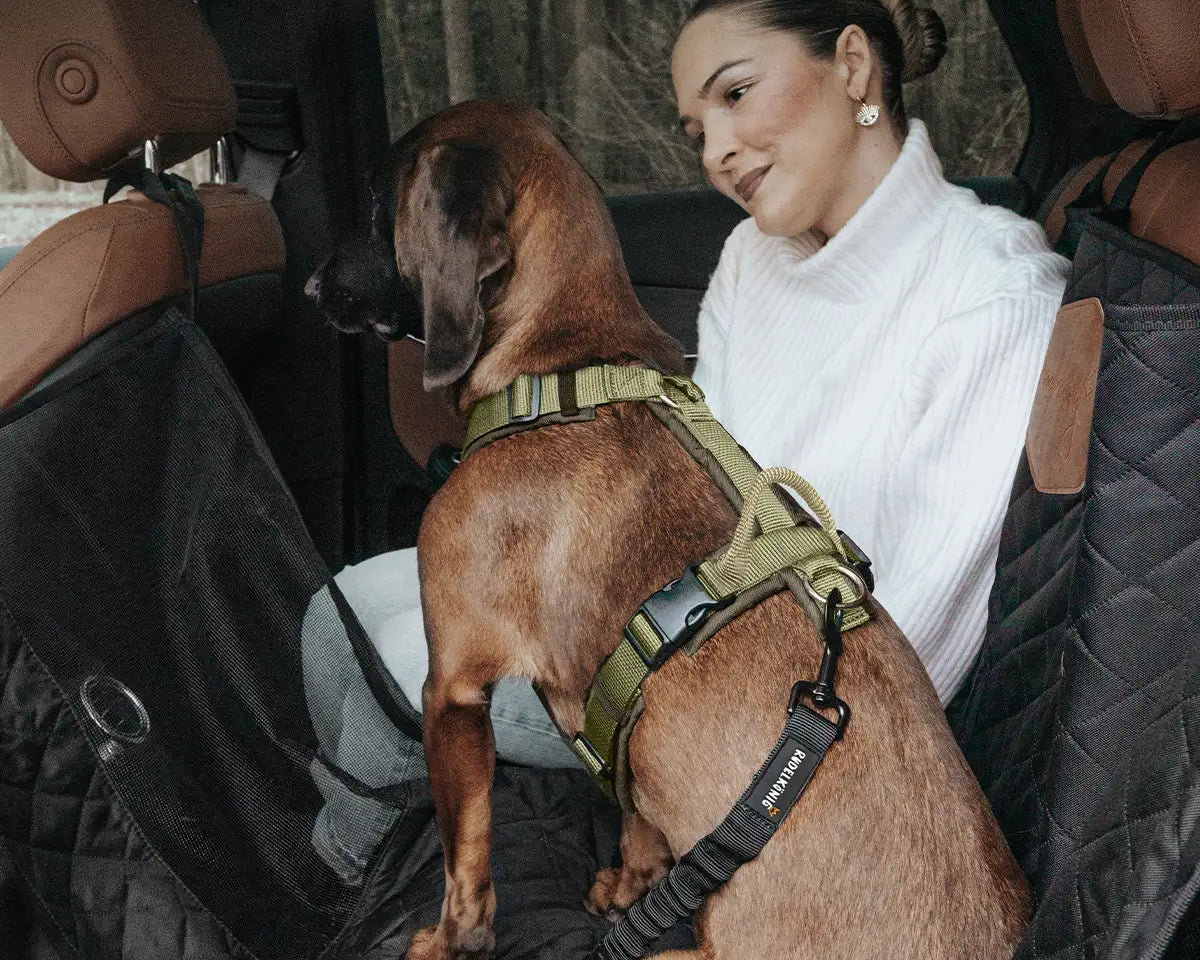Hund sitzt mit Frauchen auf der Rückbank im Auto, angeleint am Geschirr auf einem Rücksitzschutz – sicher und bequem unterwegs.