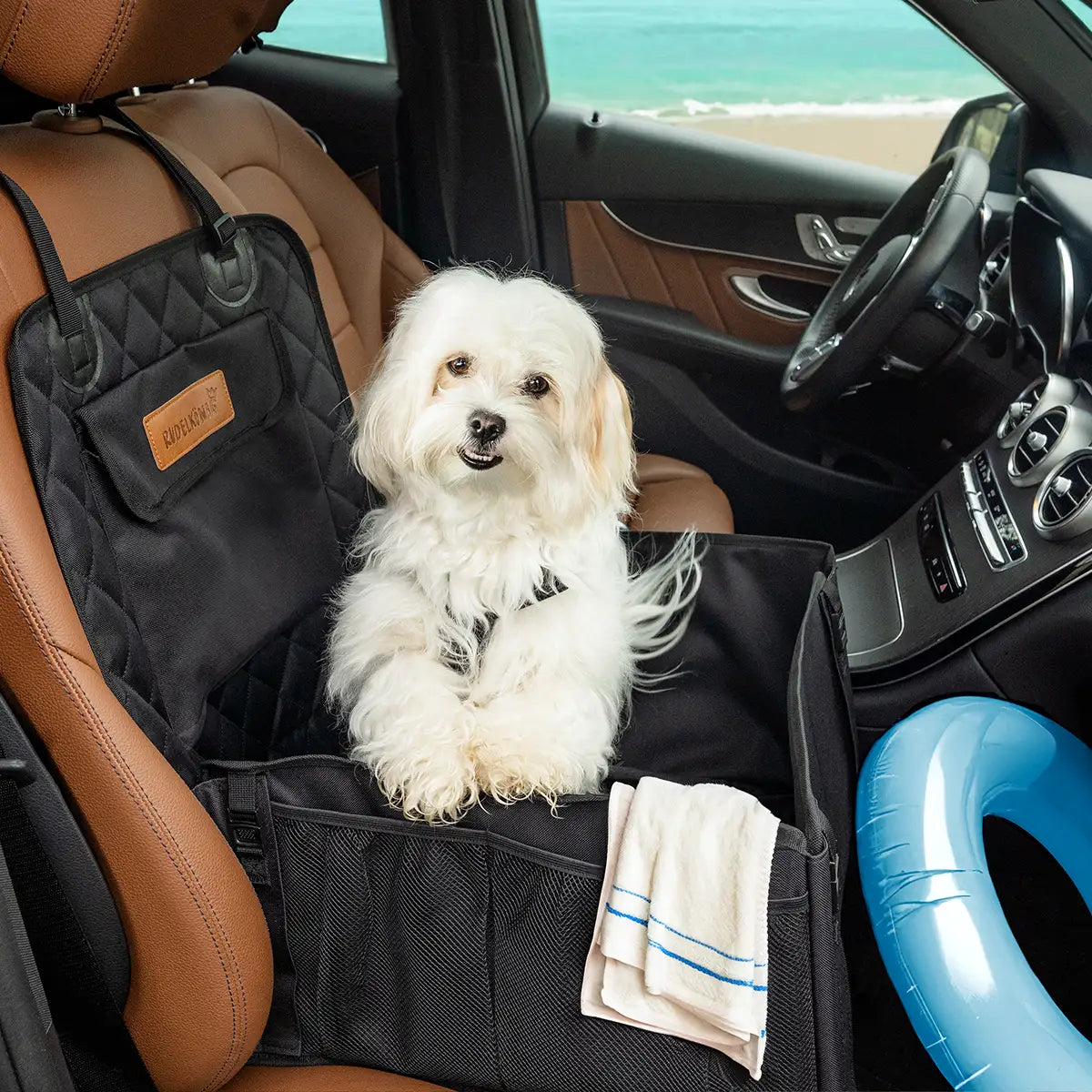 Hund sitzt im Auto auf dem Vordersitz in einer Autositzbox – sichere und bequeme Reisebegleitung für den Urlaub.