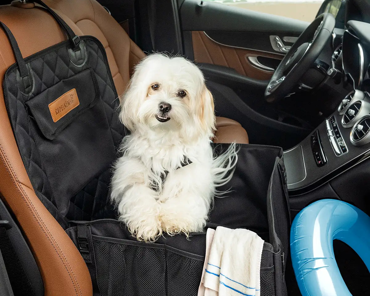Hund sitzt im Auto auf dem Vordersitz in einer Autositzbox – sichere und bequeme Reisebegleitung für den Urlaub.