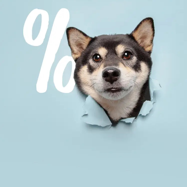 Rudelkönig Sale - Satte 10% Rabatt bei Rudelkönig
